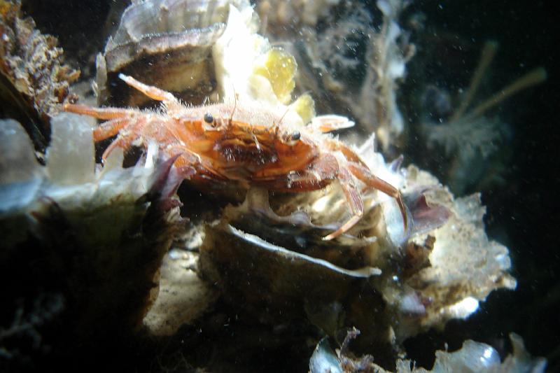 07 ZL 040.JPG